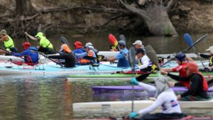 Massive Murray Paddle